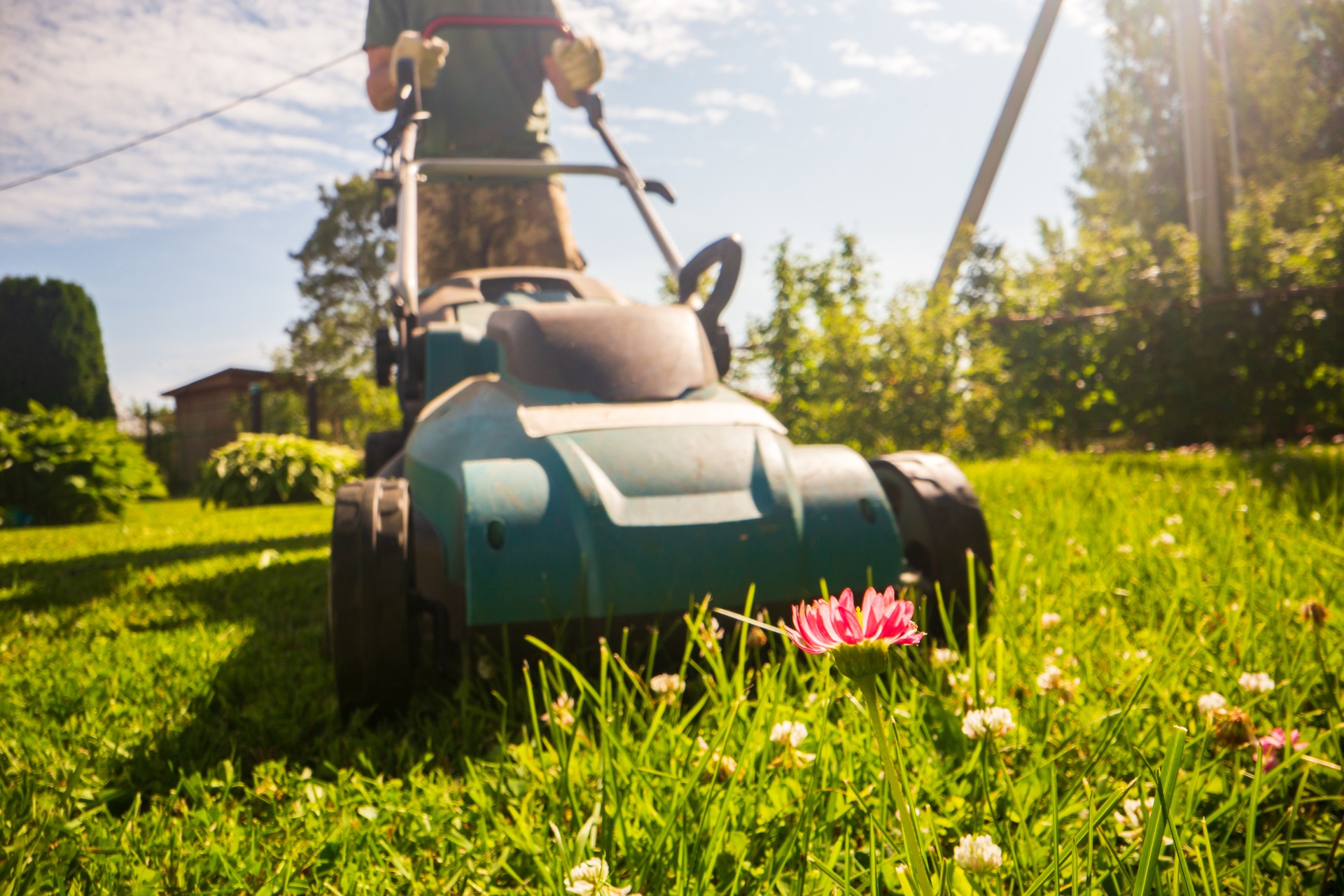 Lawn mover on green grass in modern garden or backyard. Machine for cutting lawns. Gardening care tools and equipment. Process of lawn trimming